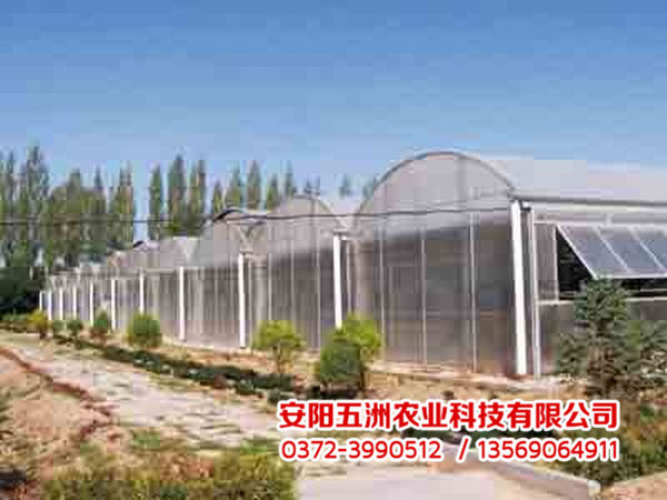 連棟大棚 連棟大棚