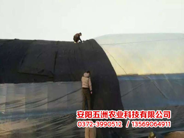 溫室大棚 溫室大棚